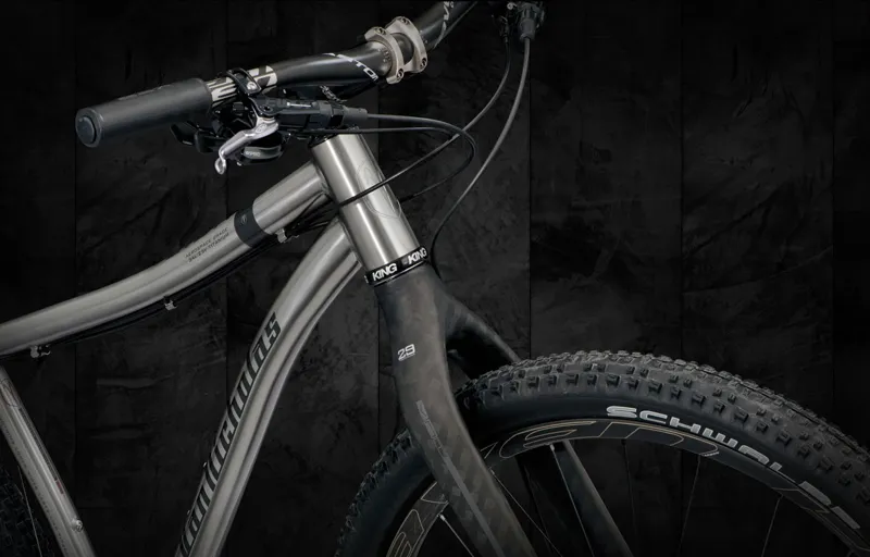 van nicholas zion 29er